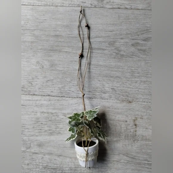 Tiny Macrame Car Plant - Picture 2 of 4